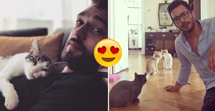 "Seni Bizim Eve Damat Alsak mı" Diyeceğiniz 7 Hayvan Sever Ünlü!