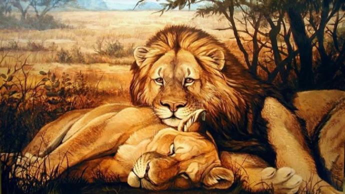 Aslan Burcu Erkeğinden, İdeal Kadının Tasviri