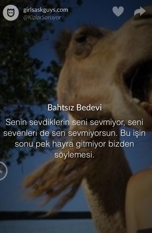 Bu quizle nasıl bir aşık olduğunu test edip, sana seni anlatıyoruz! Seçtiğin resimlere göre nasıl bir aşıksın?