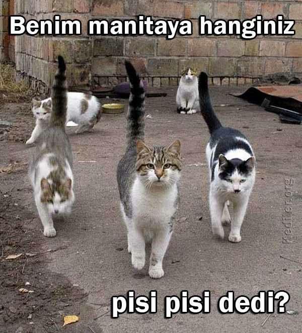 KizlarSoruyor Sitesi Candır! 