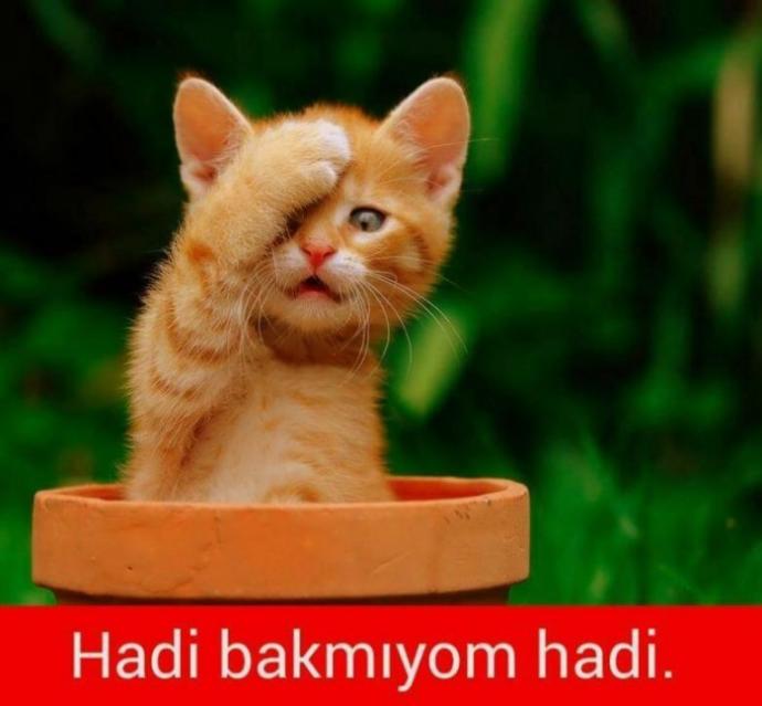 KizlarSoruyor Sitesi Candır! 