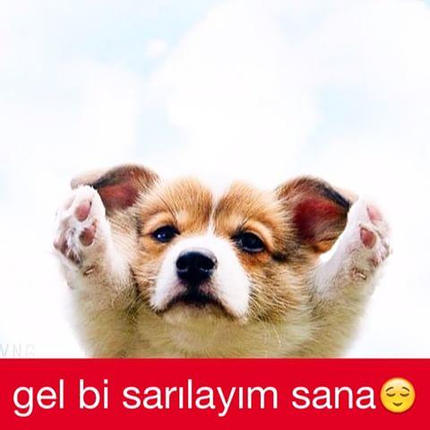 KizlarSoruyor Sitesi Candır! 