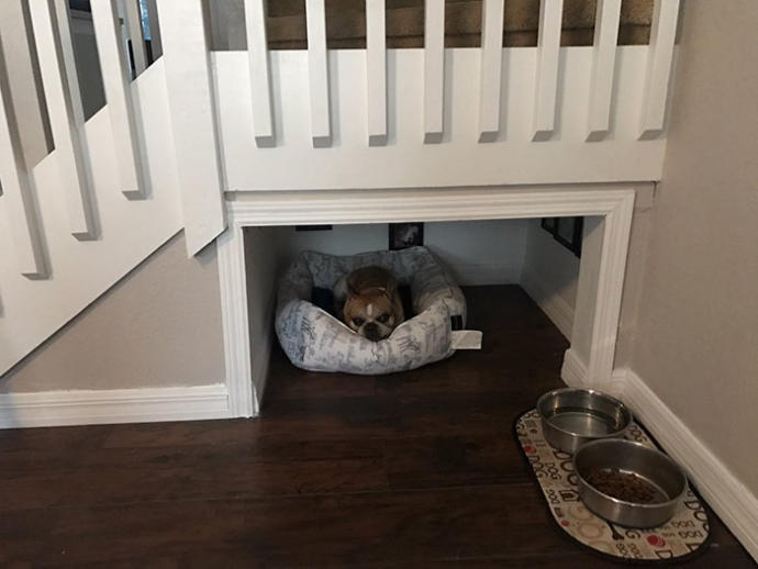 Köpeği İçin Merdiven Altında Muhteşem Bir Yuva Oluşturan Adamla Tanışın