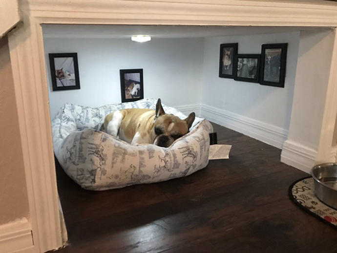 Köpeği İçin Merdiven Altında Muhteşem Bir Yuva Oluşturan Adamla Tanışın