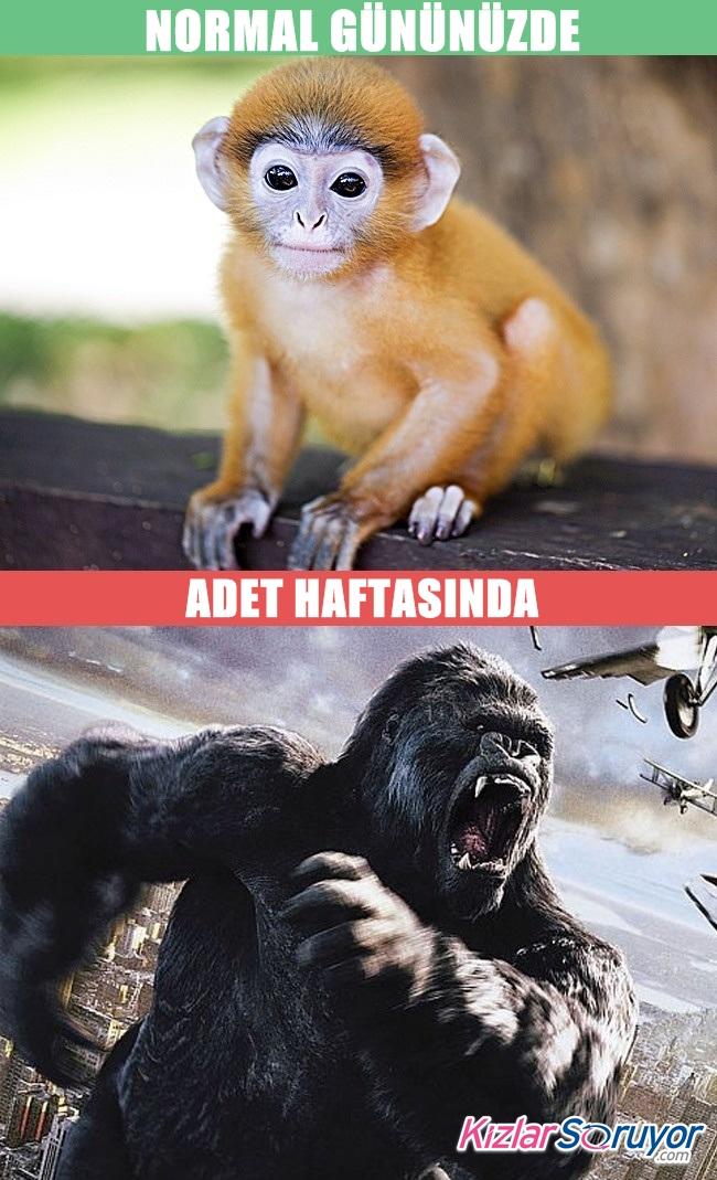 Kadınlar ve Onların İnsanı Tebessüme İten Garip Halleri!