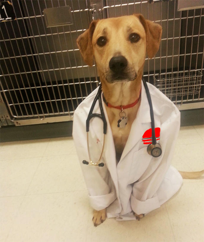 İş Yerinde Sıkılan İnsanların Ortaya Çıkardıkları Sayko Çalışmalar