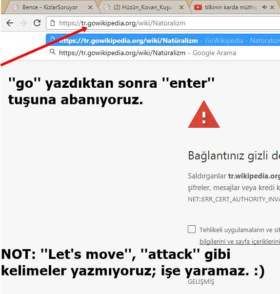 Kapatılmasıyla Bizleri Hüzünlendiren Vikipedi'den Tekrardan Feyiz Alabilmenin Basit Yolu