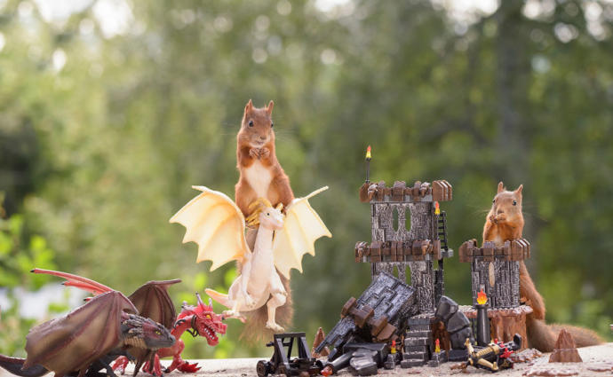 Sincapların Game Of Thrones Dizisini Aratmayan Aksiyon Dolu Fotoğrafları!