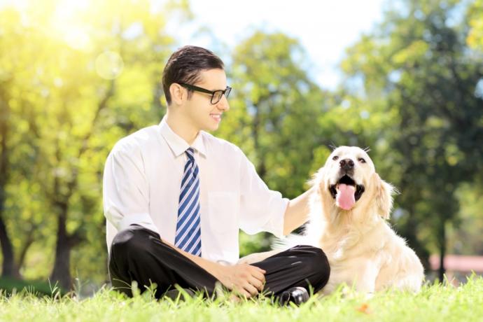 Köpekleri Sevme Nedenlerimizi Gösteren 12 Gif!