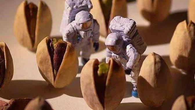 Mutfak Malzemeleriyle Minyatür Sanatının Kitabını Yazan Japon Tanaka'nın Çalışmaları!