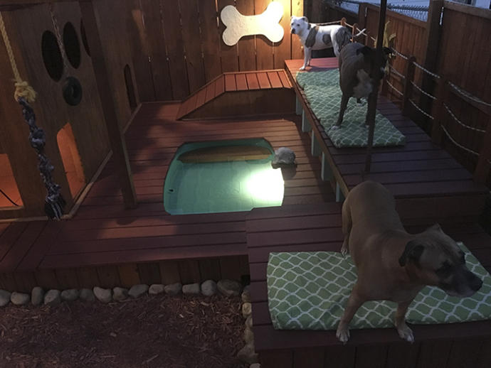 Sahip Olduğu Köpekler İçin Evinin Arka Bahçesini Özel Havuzlu Oyun Parkına Dönüştüren Adamla Tanışın