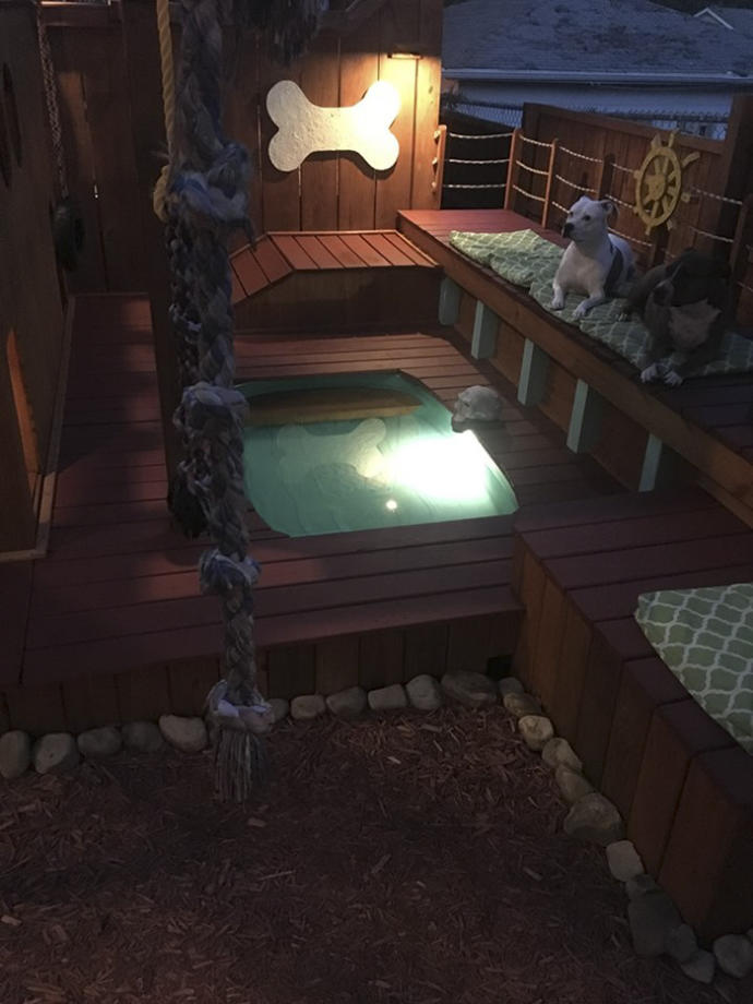 Sahip Olduğu Köpekler İçin Evinin Arka Bahçesini Özel Havuzlu Oyun Parkına Dönüştüren Adamla Tanışın