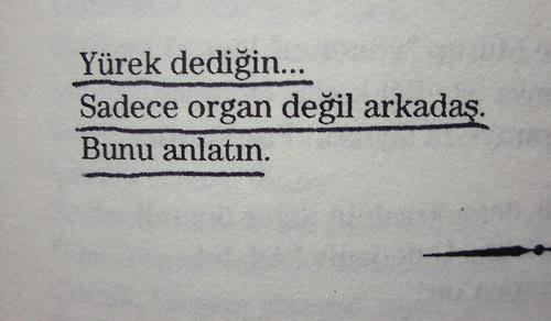 Çocuklarını İyi Yetiştirmek İsteyenlerin Onlara Öğretmesi Gereken Şeyler!