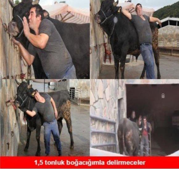 Kurban Bayramı İçin Yapılmış Baktıkça Gözlerden Yaş Getirtecek 14 Caps!
