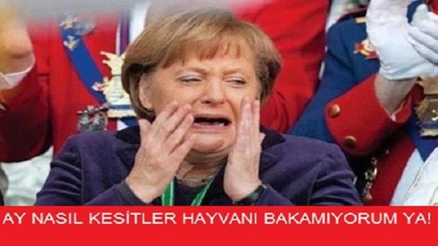 Kurban Bayramı İçin Yapılmış Baktıkça Gözlerden Yaş Getirtecek 14 Caps!