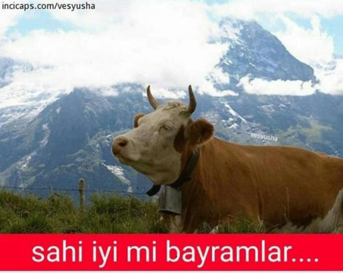 Kurban Bayramı İçin Yapılmış Baktıkça Gözlerden Yaş Getirtecek 14 Caps!