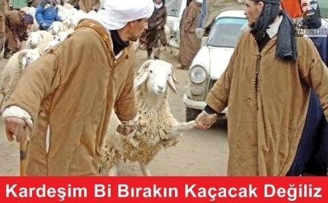 Kurban Bayramı İçin Yapılmış Baktıkça Gözlerden Yaş Getirtecek 14 Caps!
