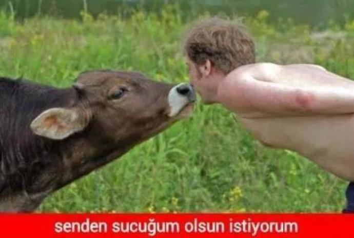 Kurban Bayramı İçin Yapılmış Baktıkça Gözlerden Yaş Getirtecek 14 Caps!
