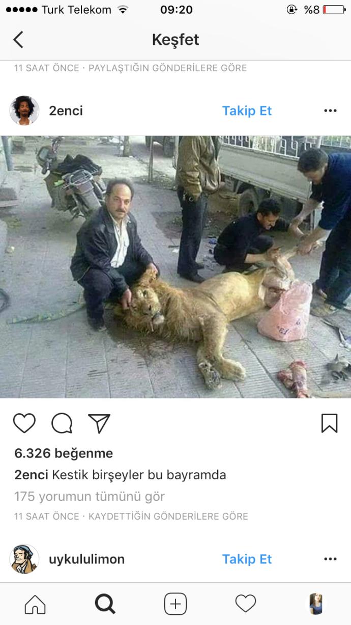 Kurban Bayramı İçin Yapılmış Baktıkça Gözlerden Yaş Getirtecek 14 Caps!