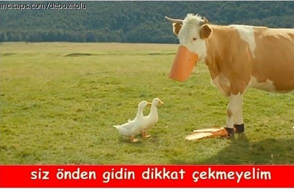 Kurbanlar Ne Düşünüyordur?