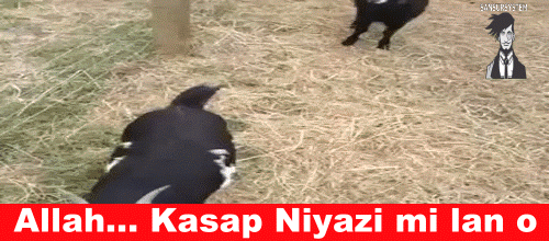 Kurban Bayramı'nda Hepimizin Merakla Beklediği Geleneklerimiz!