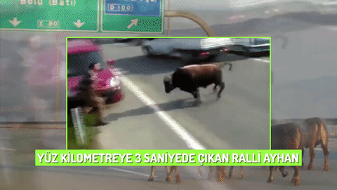 Kurban Bayramı'nda Hepimizin Merakla Beklediği Geleneklerimiz!