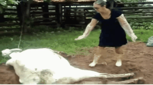 Kurban Bayramı'nda Hepimizin Merakla Beklediği Geleneklerimiz!