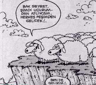 Kurban Bayramının Başrol Oyuncusu Koyunlara Bir de Selçuk Erdem'in Gözünden Bakın!