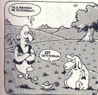 Kurban Bayramının Başrol Oyuncusu Koyunlara Bir de Selçuk Erdem'in Gözünden Bakın!