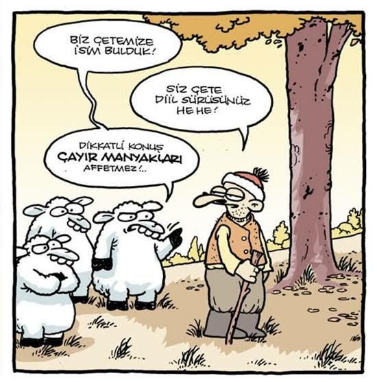 Kurban Bayramının Başrol Oyuncusu Koyunlara Bir de Selçuk Erdem'in Gözünden Bakın!