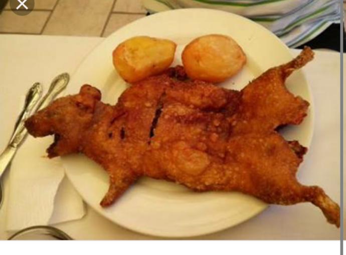 Fare yemegi yaptim nasil olmus?