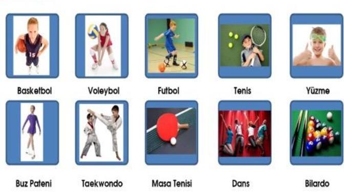Size en anlamsız gelen spor dalı hangisidir?