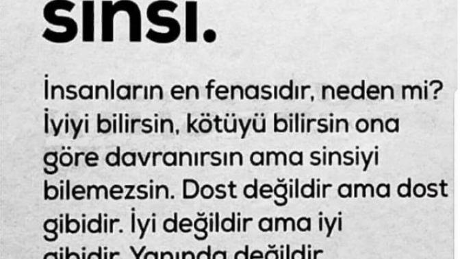 Stalkerları Sinsi İnsana Örnek Olarak Verebilir Miyiz (Stalker Sinsi Midir Sorusu) ?