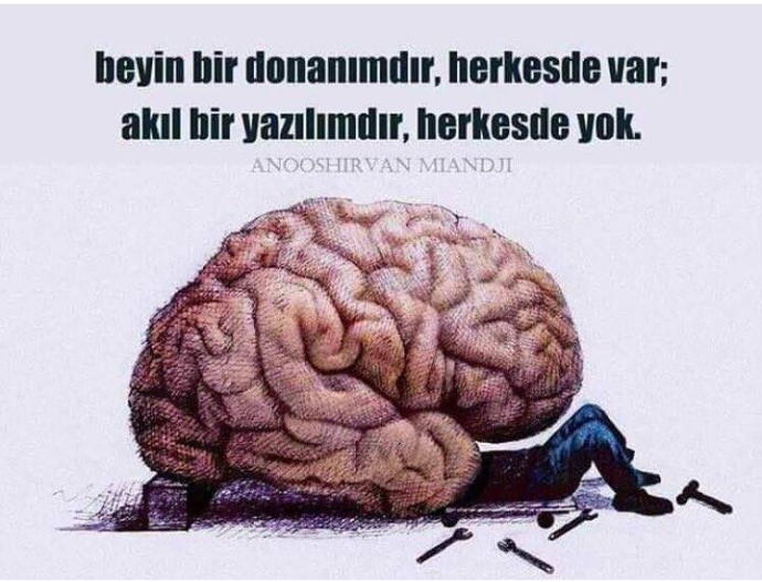 beyin bir donanımdır herkeste var Akıl bir yazılımdır herkeste Yok doğrumu?
