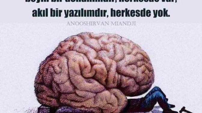 Beyin bir donanımdır herkeste var Akıl bir yazılımdır herkeste Yok doğrumu?