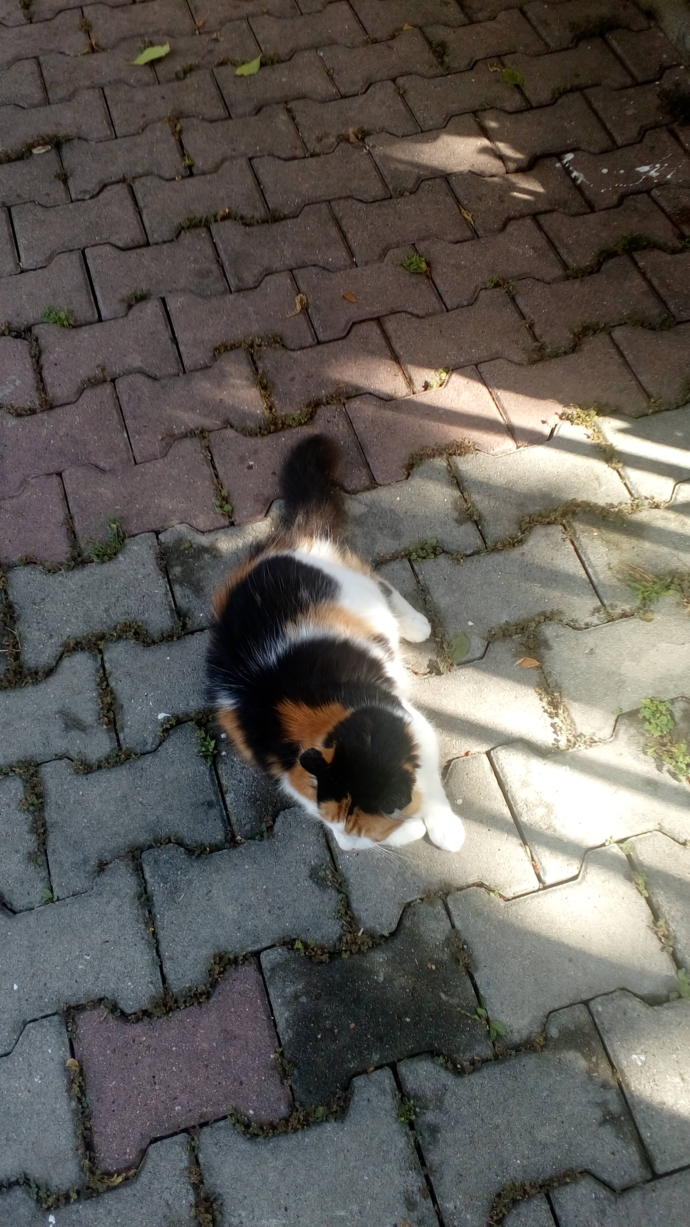 Büyükada'yı bir de benim karelerimden görmeye ne dersiniz?