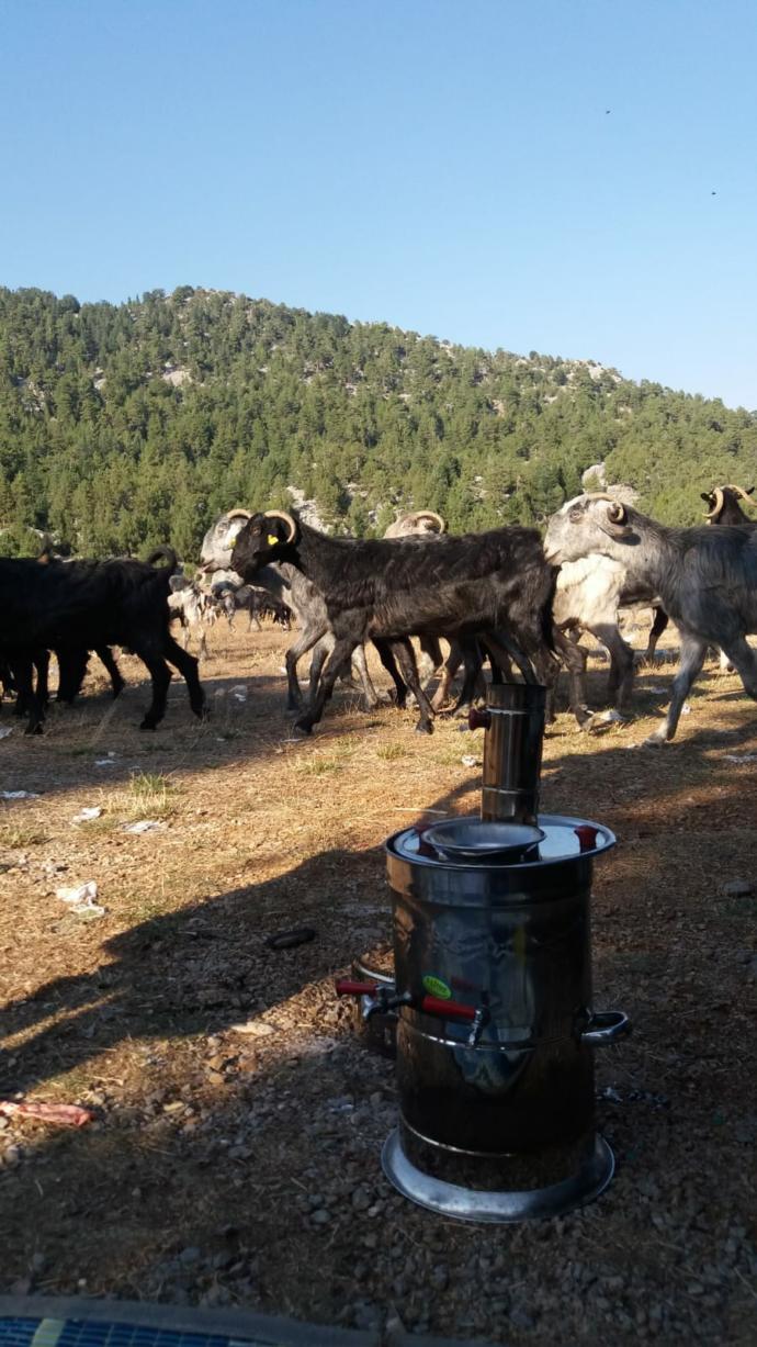 Semaver çayı içen var mı?