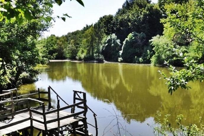 İstanbul'da Kamp Yapılacak En İyi Yerler Neresi?