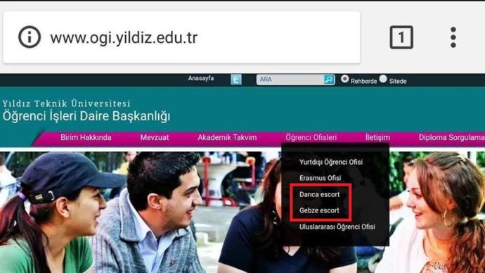 Yıldız Teknik Üniversitesi'nin internet sitesinin, öğrencileri escort sitesine yönlendirmesine ne diyorsunuz?