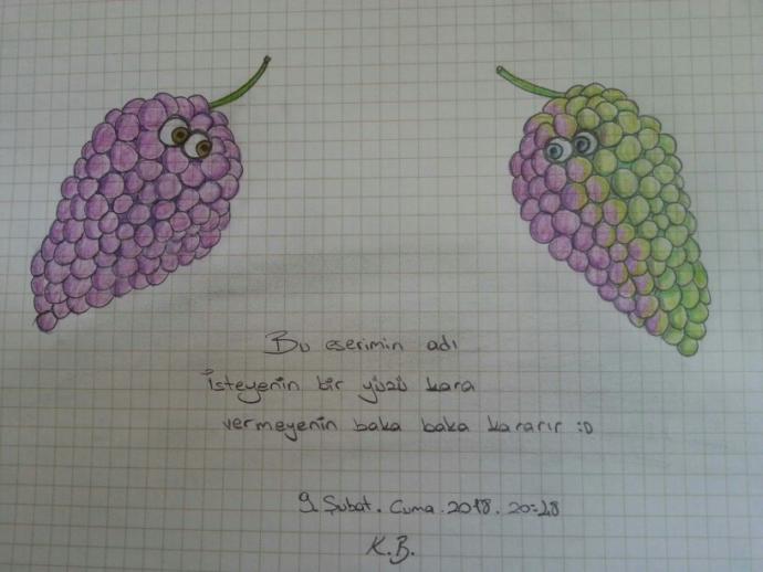 Sanat eserim nasıl olmuş ( 3 ) ?