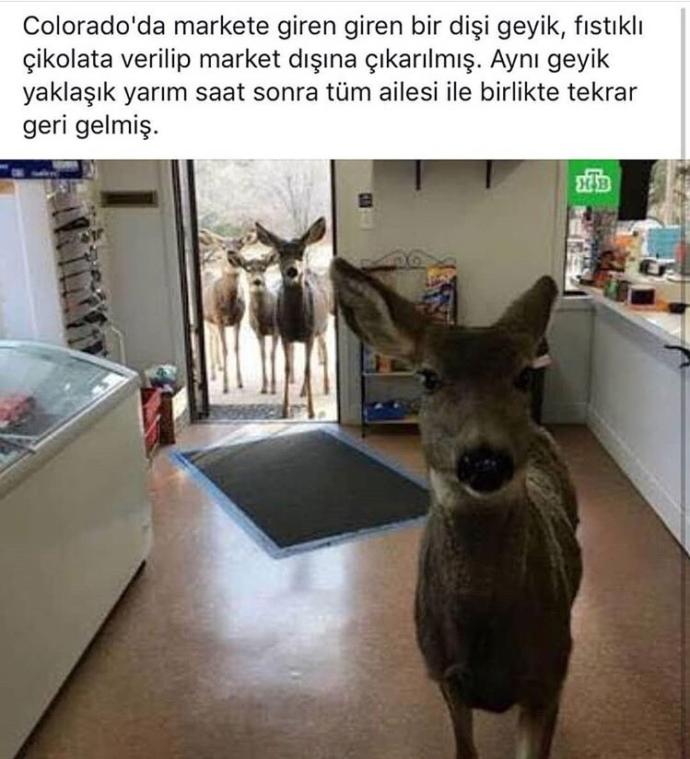 Sizin için aile birliğinin önemi nedir?
