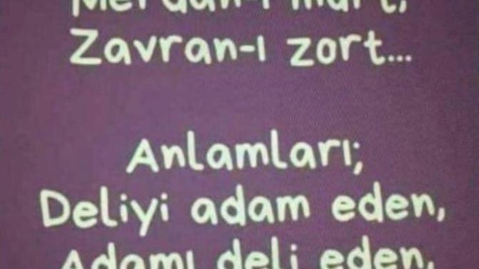 🤣Hangi tip kadınsın?