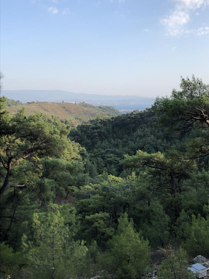 Dağlarda yaşamayı mı daha çok isterdin yoksa deniz kenarında mı?