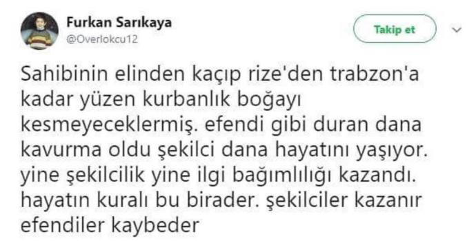 Yakışıklı erkek mi daha aşık olunası, serseri erkek mi?