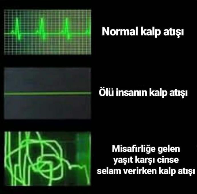 Evinize yaşıt karşı cins misafir gelince heyecanlanıyor musunuz?