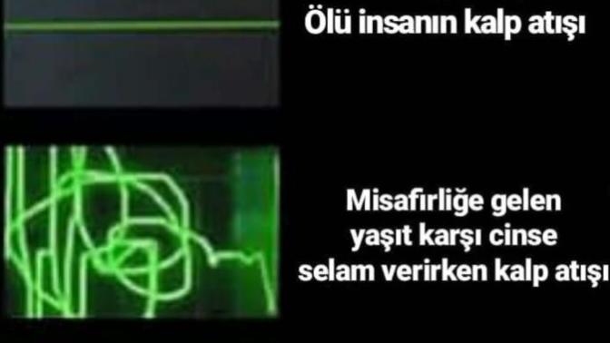 Evinize yaşıt karşı cins misafir gelince heyecanlanıyor musunuz?
