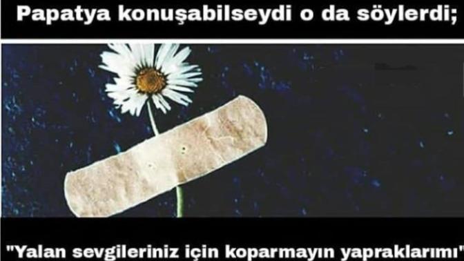 Ne düşünüyorsunuz?