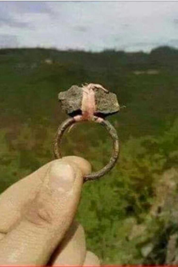 Küs olduğunuz sevgilinizin yarın doğum günü olsa, ona nasıl bir sürpriz hazırlardınız?