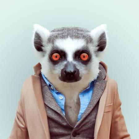 Vesikalık fotoğrafınızda yüz yapınız güzel çıkıyor mu?