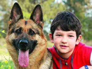 Hangi köpek favoriniz??